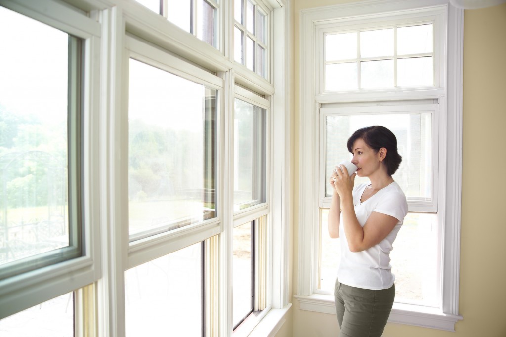 Window Replacement Associated Services